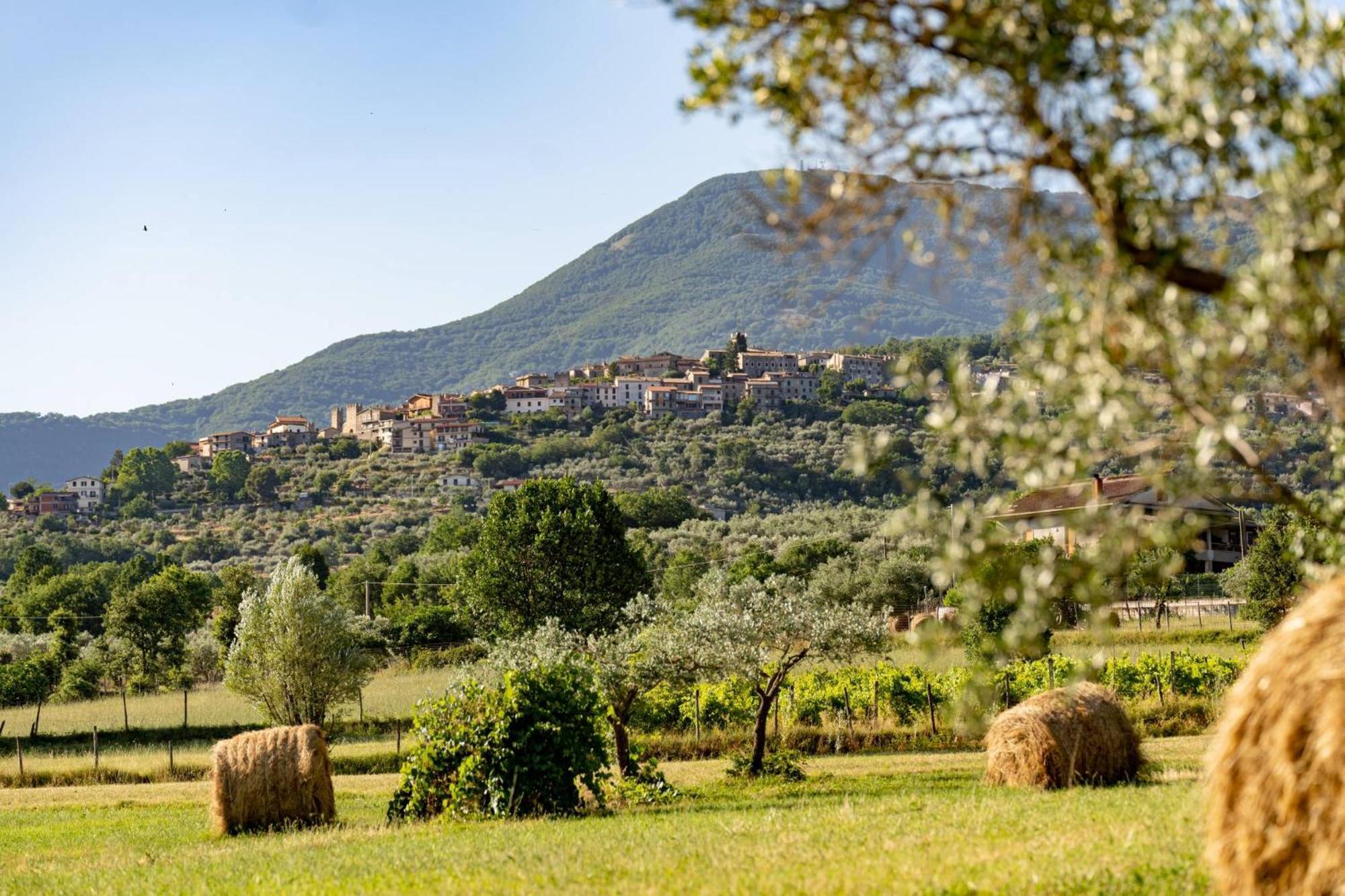 B&B Vico Suites Vico nel Lazio Zewnętrze zdjęcie